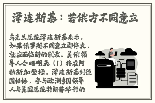 91久久久精品无嫩草影院
